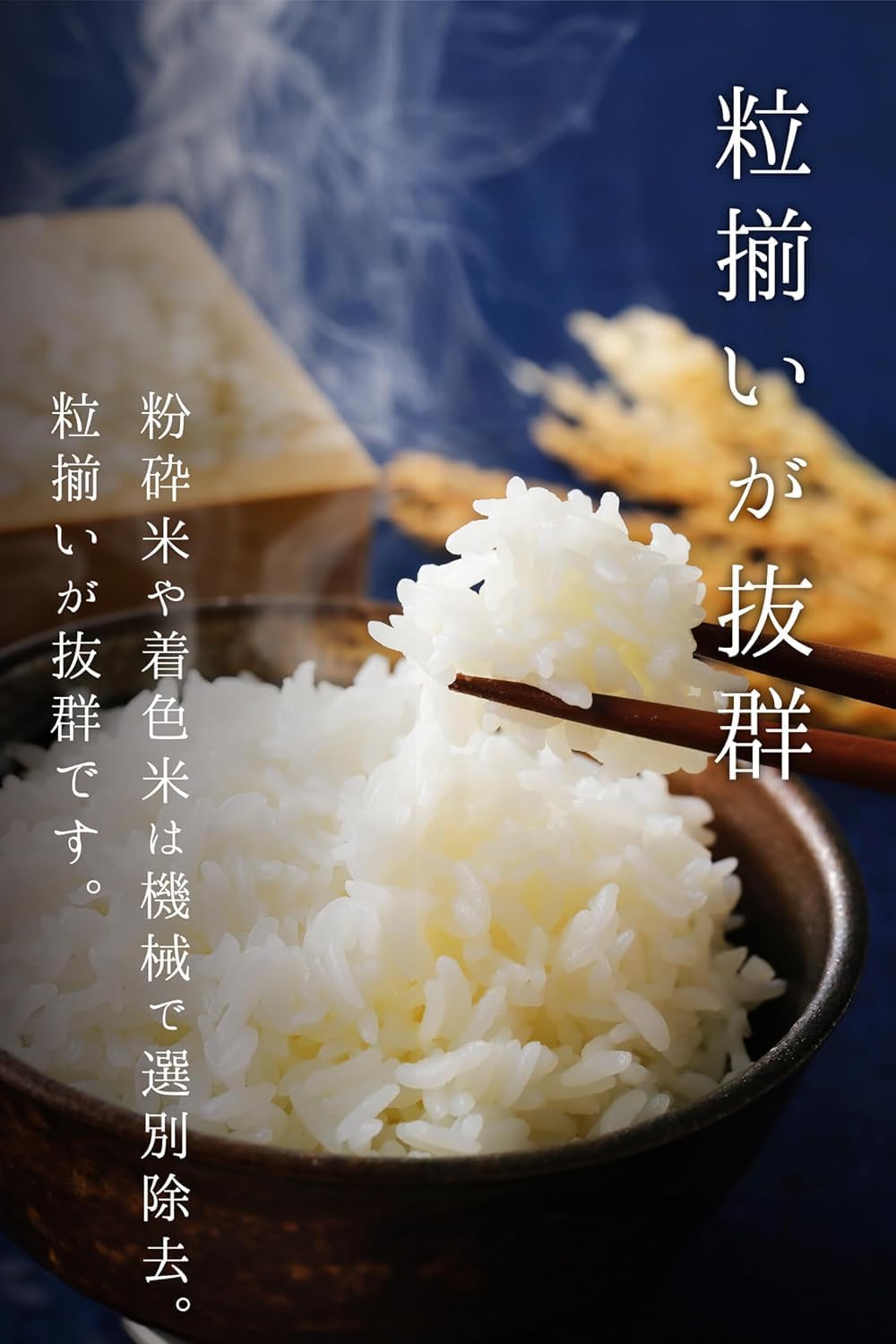 農業生産法人ワタナベ 新米 令和7年 無洗米 5kg 栃木県 とちぎの星