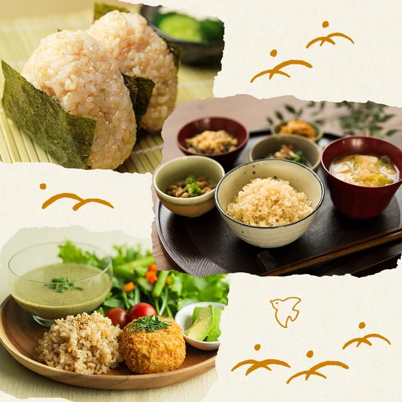 野沢農産 新米 令和7年産 らくらく無洗米玄米 5kg 長野県産 風さやか