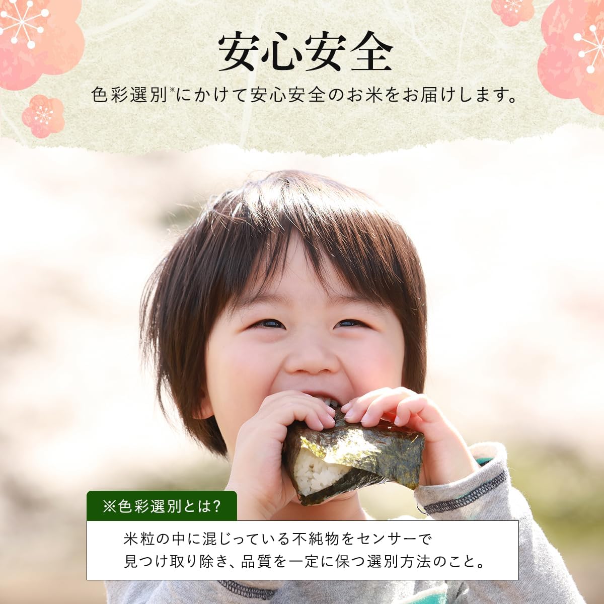 野沢農産 令和7年産 米 お米 無洗米 新潟県 魚沼産 コシヒカリ 5kg mybest 2026年2月受賞