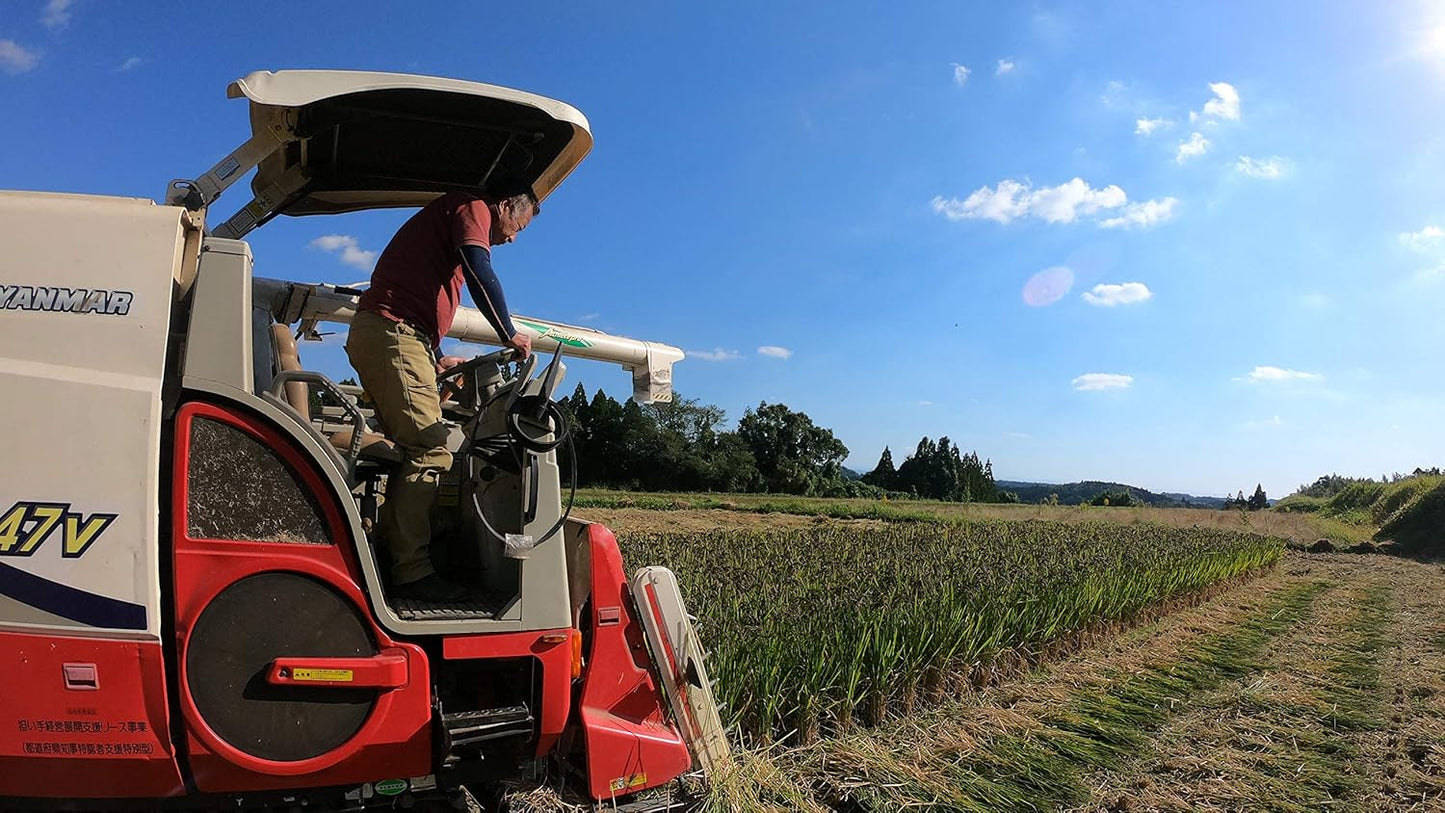 熊本県産 ヒノヒカリ 5kg 【 無洗米 】