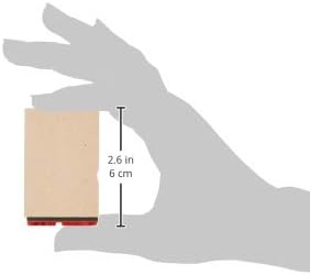 新朝日コーポレーション ゴム印 贈答用 サコス 中型 御年賀 EJH-169