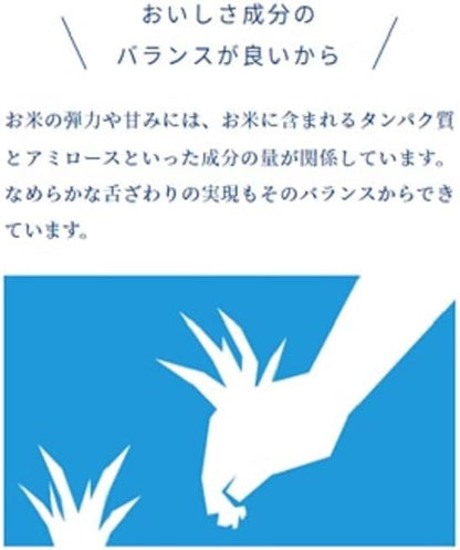 パールライス 白米 青森県産はれわたり 5kg 令和7年産