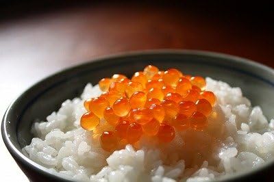 熊本県産 ヒノヒカリ 5kg 【 無洗米 】