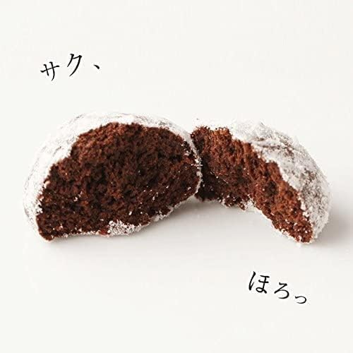 VANILLABEANS (バニラビーンズ) スノーボール・ココア (10缶入) クッキー ギフト お菓子 バレンタイン バレンタインデー (手提げ袋 10枚付き) 詰め合わせ 菓子折り お返し プレゼント 手土産 ご褒美 スイーツ チョコレート