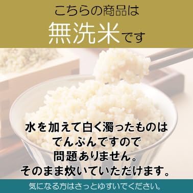 野沢農産 新米 令和7年産 らくらく無洗米玄米 5kg 長野県産 風さやか