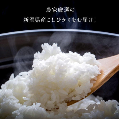 新米 令和7年産 新潟県産コシヒカリ 岩船地方中心 1等米 5kg 精米