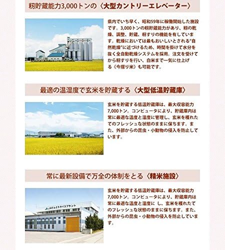 山形県産 つや姫 10kg