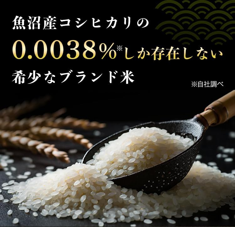 令和7年産 新米 魚沼産コシヒカリ 雪椿 2kg 特別栽培米 減農薬栽培