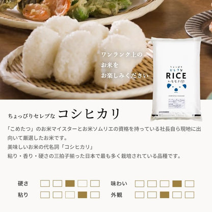 こめたつ 令和7年産 国内産 コシヒカリ 白米 10kg（極パック5kg×2袋）