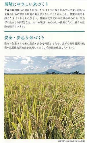 パールライス 青森県産 白米 青天の霹靂 2kg 令和7年産