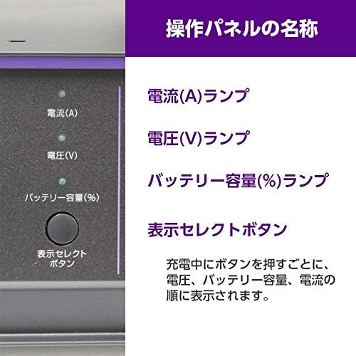 メルテック(meltec) 全自動パルスバッテリー充電器 (ファミリーバイク/オートバイ) 12V専用 MeltecPlus 定格0.75A バッテリー診断機能付 維持充電(トリクル充電)方式 長期保証3年 MP-200
