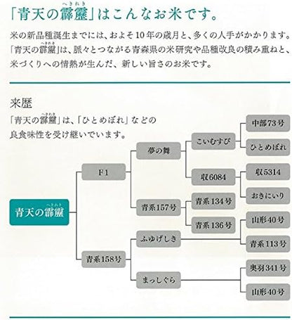 パールライス 青森県産 白米 青天の霹靂 2kg 令和7年産