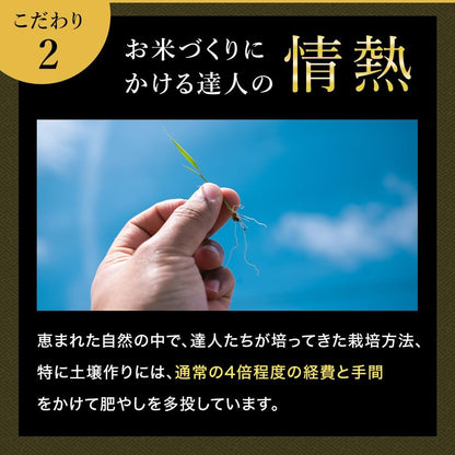 令和7年産 新米 魚沼産コシヒカリ 雪椿 2kg 特別栽培米 減農薬栽培