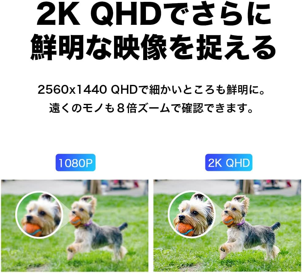 TP-Link WiFi ネットワークカメラ 屋外カメラ 防犯カメラ 2K QHD 照明 ライト 搭載 3年保証 音声通話可能 3年保証 Tapo C320WS