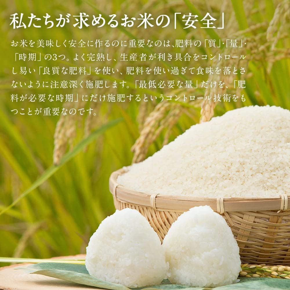 新米 令和7年産 新潟県産コシヒカリ 岩船地方中心 1等米 5kg 精米