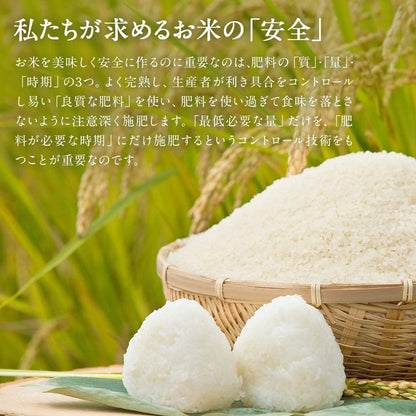 新米 令和7年産 新潟県産コシヒカリ 岩船地方中心 1等米 5kg 精米