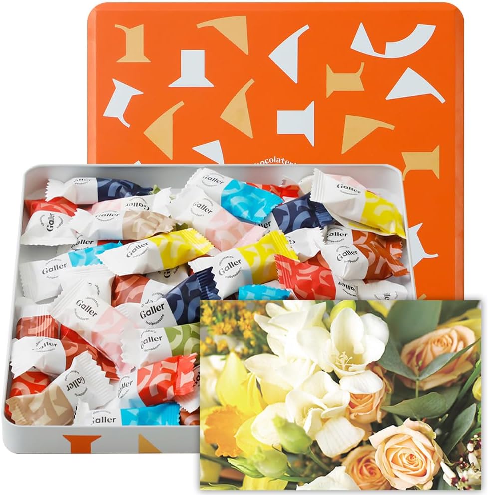 ガレー Galler チョコレート ベルギー王室御用達 ナノバー 30個入り バレンタイン お年賀 ギフト スイーツ お菓子 個包装