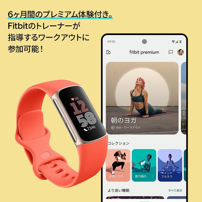 Fitbit Charge 6 トラッカー ポーセレン／シルバー（1個・日本正規品）