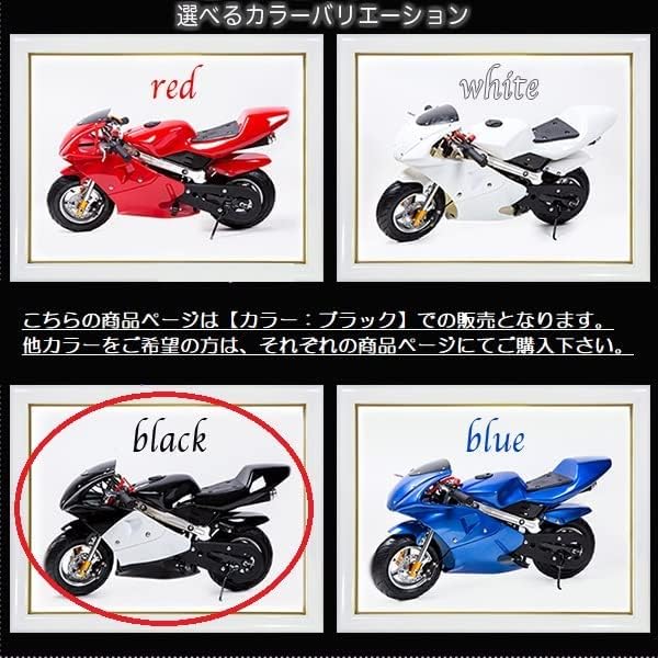 49cc GP 黒白カラーモデル エンジン ポケバイ ポケットバイク ２ストエンジン 混合油使用