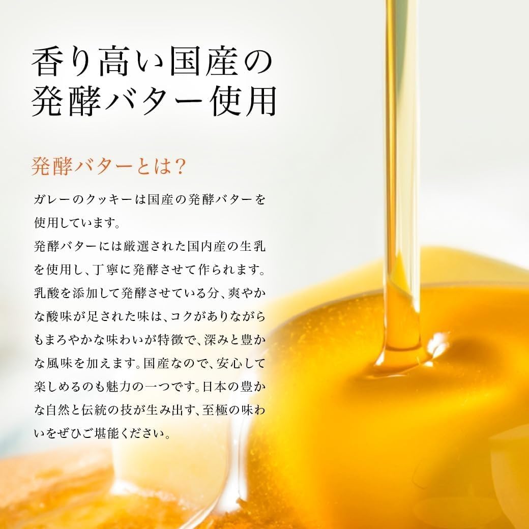 ガレー（Galler） クリスマス・お年賀・ギフト用（クッキー30枚入り・個包装・手さげ袋付き）