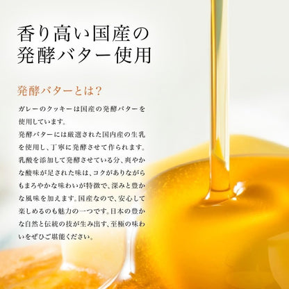 ガレー（Galler） クリスマス・お年賀・ギフト用（クッキー30枚入り・個包装・手さげ袋付き）