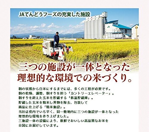 山形県産 つや姫 10kg