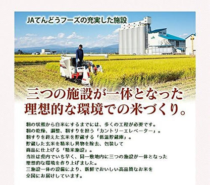 山形県産 つや姫 10kg