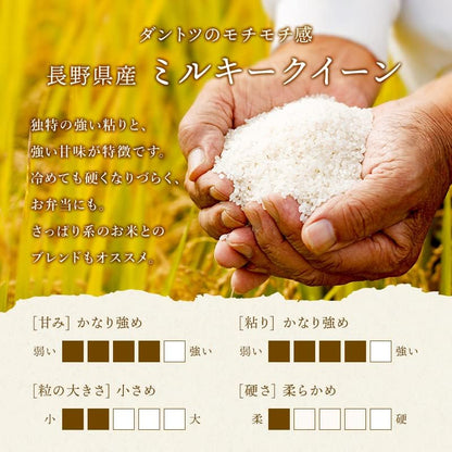 野沢農産 新米 令和7年産 お米 長野県産 無洗米 (30kg, つきあかり)