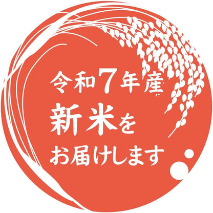 新米 令和7年産 新潟産 つきあかり 10kg(5kg×2袋)