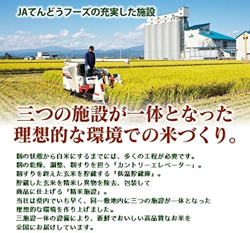 山形県産 つや姫 10kg