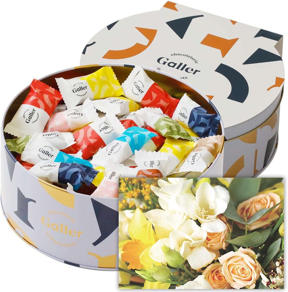 ガレー Galler チョコレート ベルギー王室御用達 ナノバー 30個入り バレンタイン お年賀 ギフト スイーツ お菓子 個包装