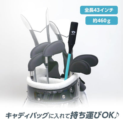 ダイヤゴルフ（DAIYA GOLF） ダイヤスイングシリーズ スイング練習器具 1個