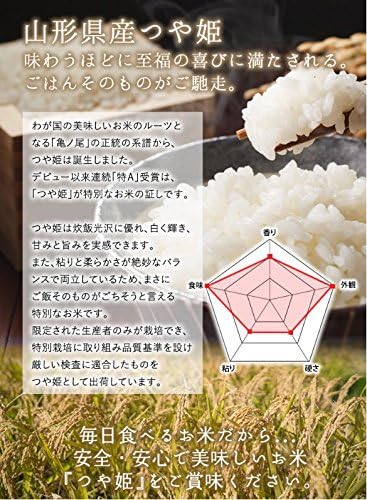 山形県産 つや姫 10kg