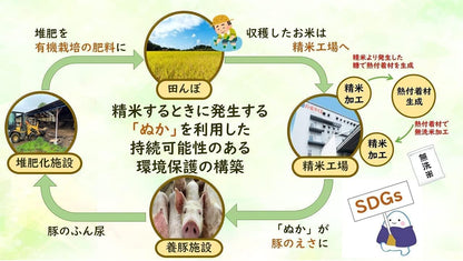 パールライス 福島県産 白米 天のつぶ 5kg 令和7年産