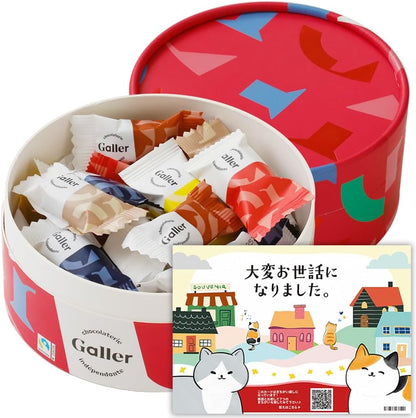 ガレー Galler チョコレート ベルギー王室御用達 ナノバー 30個入り バレンタイン お年賀 ギフト スイーツ お菓子 個包装