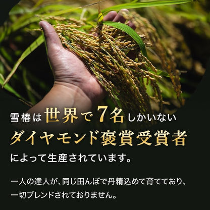 令和7年産 新米 魚沼産コシヒカリ 雪椿 2kg 特別栽培米 減農薬栽培