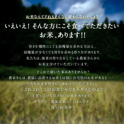 新米 令和7年産 新潟県産コシヒカリ 岩船地方中心 1等米 5kg 精米