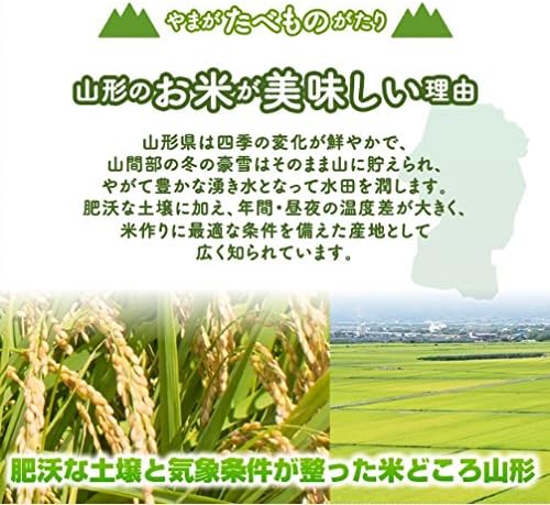 山形県産 つや姫 10kg