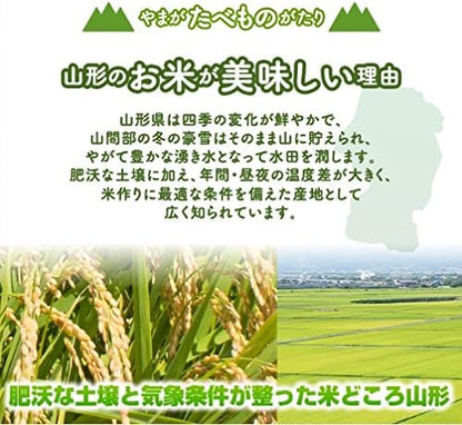 山形県産 つや姫 10kg
