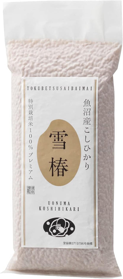 令和7年産 新米 魚沼産コシヒカリ 雪椿 2kg 特別栽培米 減農薬栽培