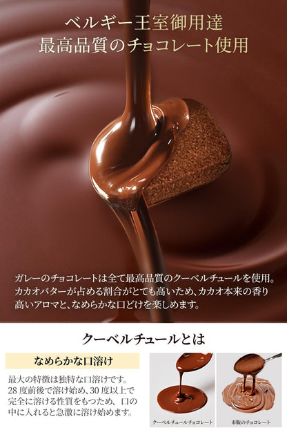 ガレー（Galler） クリスマス・お年賀・ギフト用（クッキー30枚入り・個包装・手さげ袋付き）