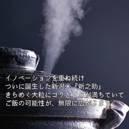 新潟県産新之助 無洗米 5kg 令和7年産