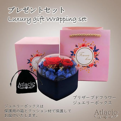 [Atlacic] ネックレス レディース 最高級 ジルコニア 刻印有り プレゼント ギフト セット オープンハート クリスマス 誕生日 プレゼント