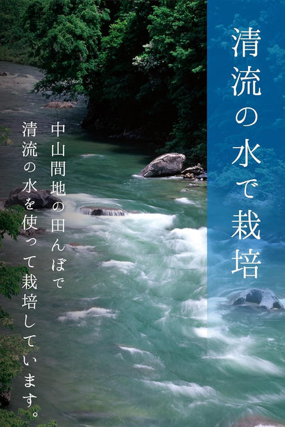 農業生産法人ワタナベ 新米 令和7年 無洗米 5kg 栃木県 とちぎの星