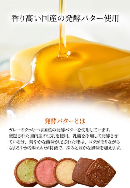 ガレー（Galler） クリスマス・お年賀・ギフト用（クッキー30枚入り・個包装・手さげ袋付き）