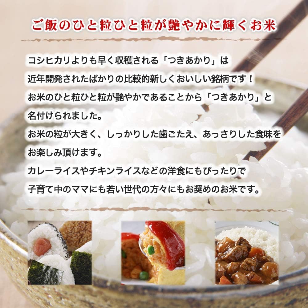 新米 令和7年産 新潟産 つきあかり 10kg(5kg×2袋)