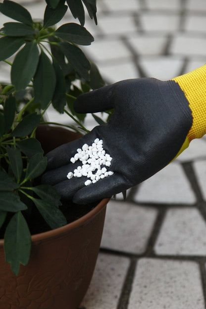 スリーエム  コンフォートグリップ グローブ グリーン Mサイズ GLOVE-GRE-M (× 2)