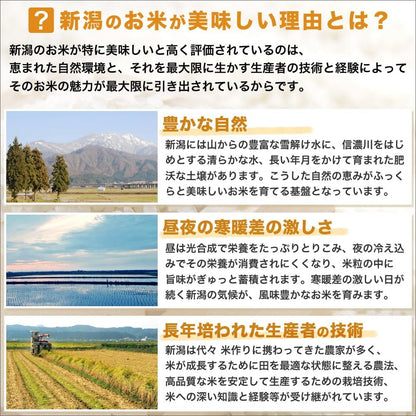 新米 令和7年産 新潟産 つきあかり 10kg(5kg×2袋)