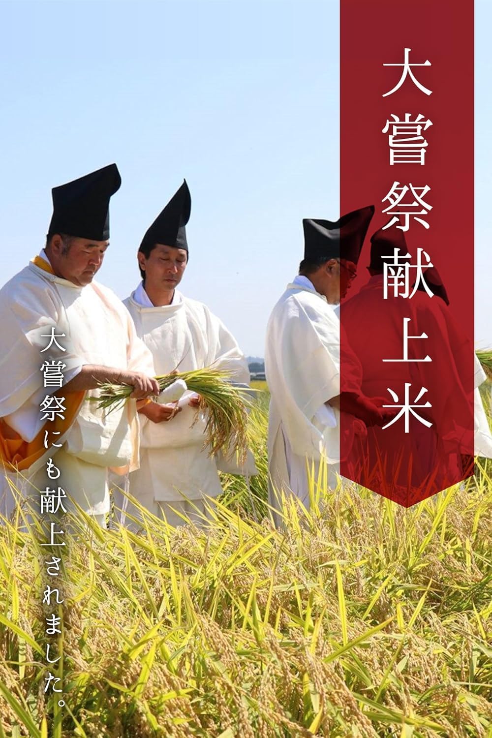 農業生産法人ワタナベ 新米 令和7年 無洗米 5kg 栃木県 とちぎの星