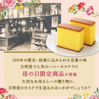 文明堂 干支カステラ１号（包装品）御年賀／お年賀／お正月／ギフト／贈答品／手土産／お返し／お礼